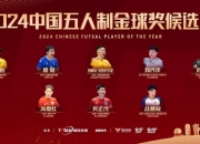 爱游戏.爱中国-包含国内足球联赛历史战绩回顾，球队未来可期的词条
