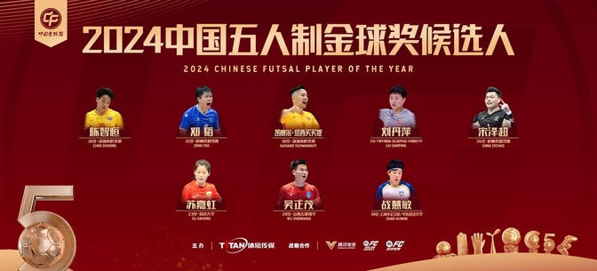 包含国内足球联赛历史战绩回顾，球队未来可期的词条